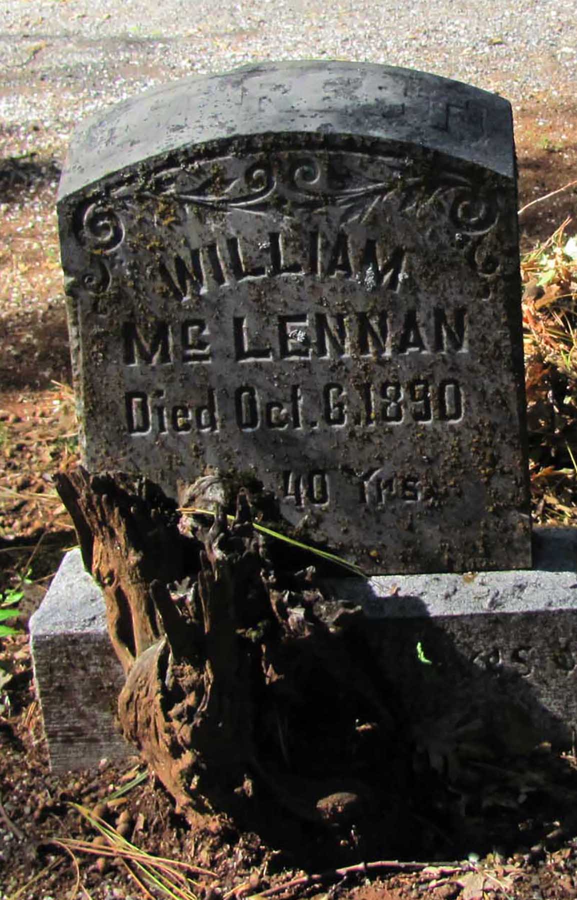 Photo of headstones/William McLennan Headstone 1890 Foresthill Cemetery, Placer County, California, USA